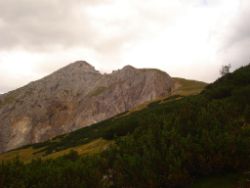 2013-09-08_6Falkenh-Steinfalk (092).JPG